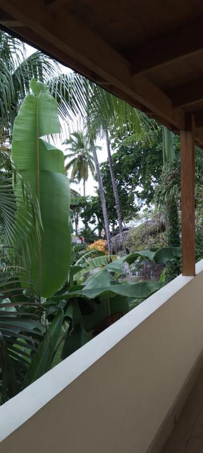 Guest House My Way Las Terrenas Exterior photo